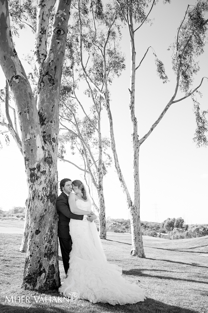 gev and Susie Wedding