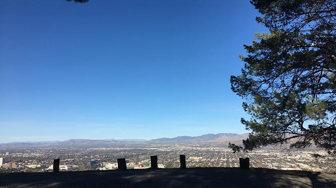 Featured Proposal: Vache & Maria