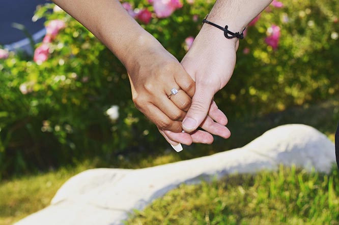 Featured Proposal: Vache & Maria