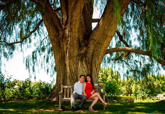 Christine and Victor Engagement Photos