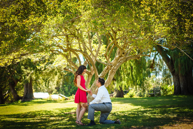 Christine's story the proposal