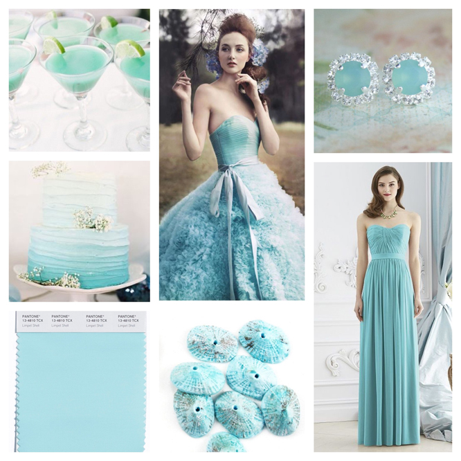 Limpet Shell color board