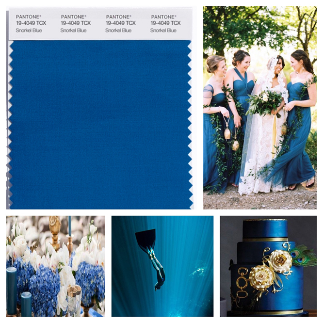 Snorkel Blue color board