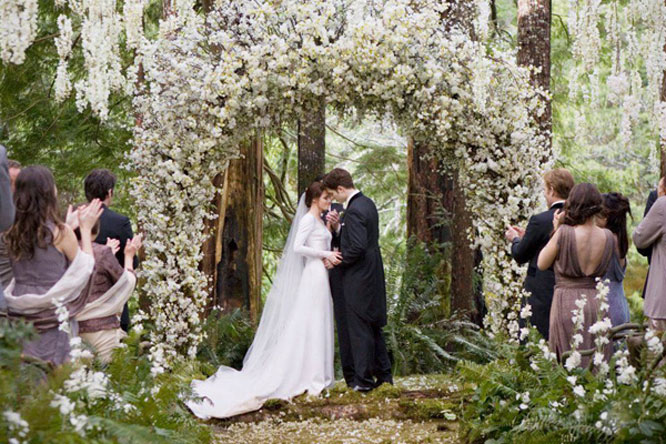 Twilight Wedding