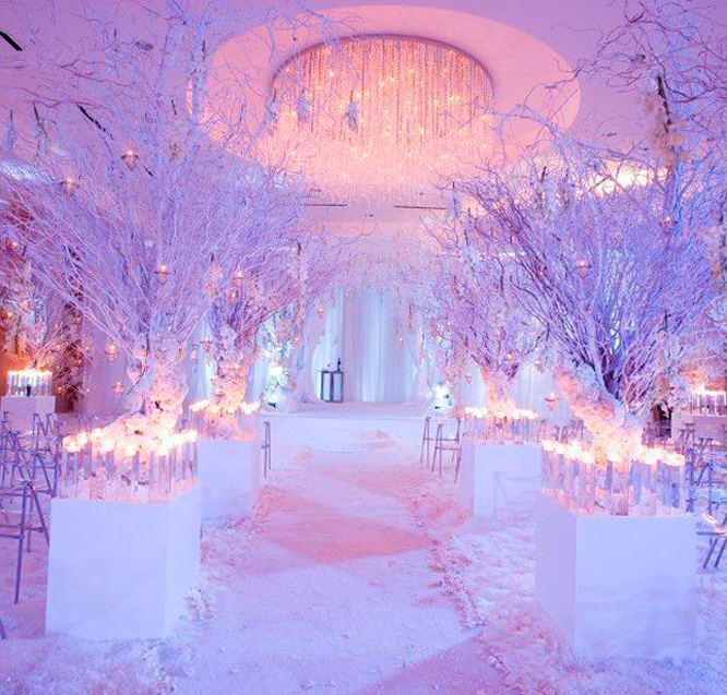 Winter Wonderland Reception