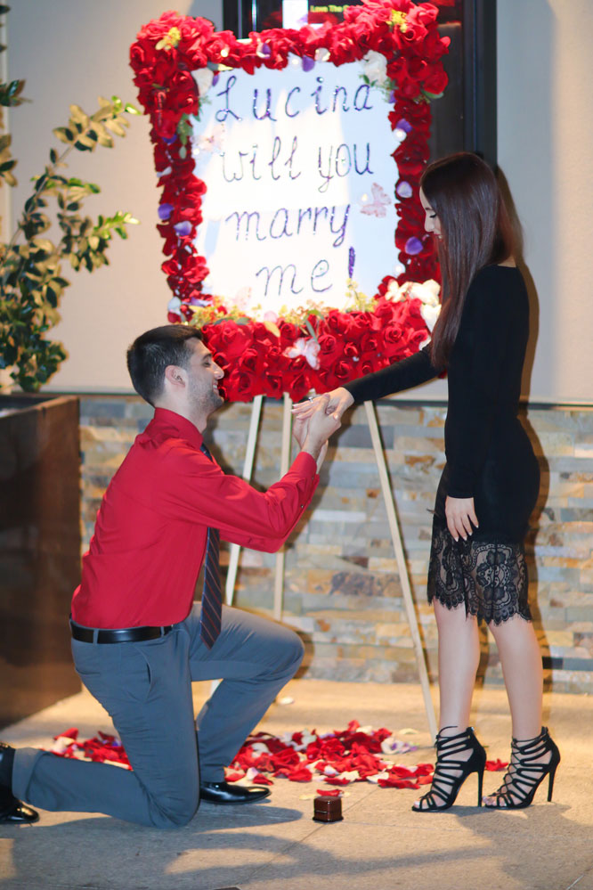 Peter and Lucina's Proposal Story