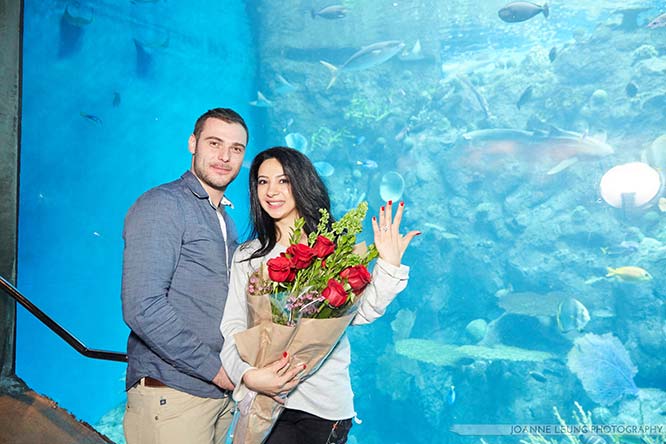 Featured Proposal: Manuel & Narine