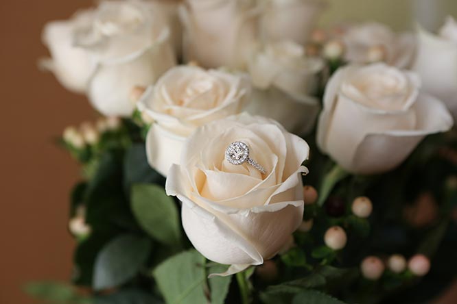 Featured Proposal: Ed and Renita