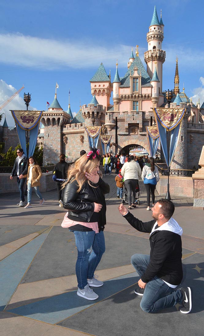 Featured Proposal: Sarkis & Roobena