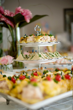 Bridal Shower Tips Bridal Shower Tips