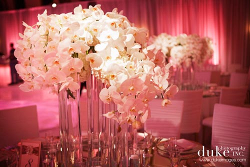 Fancy That Wedding Fancy That Wedding