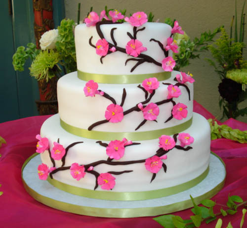 Cake Studio