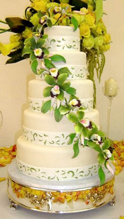 Cake Studio
