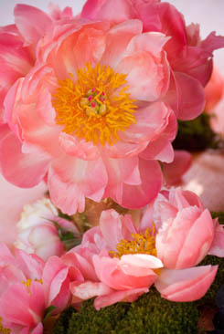 Tic-Tock Floral Couture